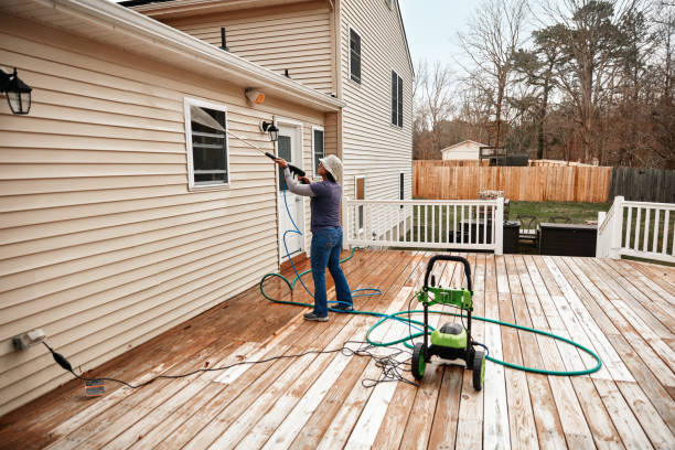 Best Pressure Washing Driveway  in Lovelock, NV