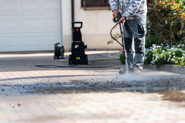 Best Residential Pressure Washing Services  in Lovelock, NV
